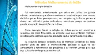 Melhoramento por Seleção
Foi mencionado anteriormente que existe em cultivo um grande
número de cultivares que são normalmente constituídas por uma mistura
de linhas puras. Estes germoplasmas, em uso pelos agricultores, podem e
devem ser utilizados pelos melhoristas, sobretudo porque apresentam
grande adaptação às condições de cultivo.
Como exemplo, faz-se a seleção de linhas puras em amostras e
seleciona por meio fenotípico, as sementes que apresentaram melhores
resultados (Resistência a pragas, produção kg/ha, tamanho do grão, etc.).
Na segunda geração, selecionamos os melhores progênies da etapa
anterior afim de obter o melhoramento genético o qual vai ser
apresentado o rendimento das progênies e da cultivar Carioca para que
seja cultivado em larga escala comercial.
 