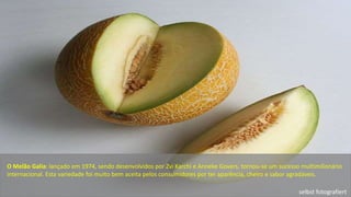 O Melão Galia: lançado em 1974, sendo desenvolvidos por Zvi Karchi e Anneke Govers, tornou-se um sucesso multimilionário 
...