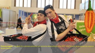 Pimenta Angello: A Angello foi a primeira pimenta sem semente desenvolvida entre 2007-2012 através de pesquisas da empresa...