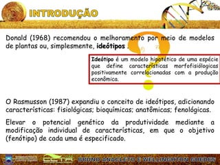 Melhoramento Por Meio de Ideótipos | PPTX