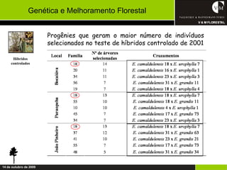 Genética e Melhoramento Florestal


                        Progênies que geram o maior número de indivíduos
                        selecionados no teste de híbridos controlado de 2001

      Híbridos
     controlados




14 de outubro de 2009
 