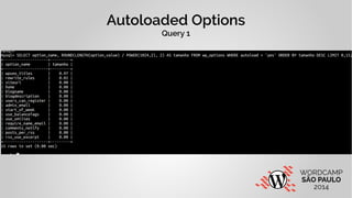 Autoloaded Options 
Query 1 
 