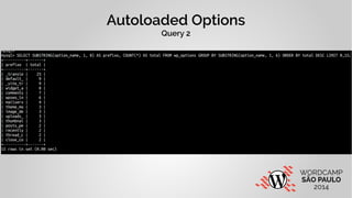 Autoloaded Options 
Query 2 
 