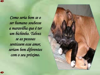 Como seria bom se o ser humano soubesse a maravilha que é ter um bichinho. Talvez se as pessoas sentissem esse amor, seriam bem diferentes com o seu próximo. 