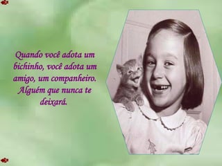 Quando você adota um bichinho, você adota um amigo, um companheiro. Alguém que nunca te deixará.  