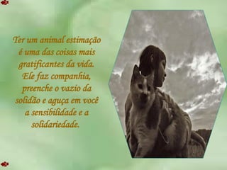 Ter um animal estimação é uma das coisas mais gratificantes da vida. Ele faz companhia, preenche o vazio da solidão e aguça em você a sensibilidade e a solidariedade.  