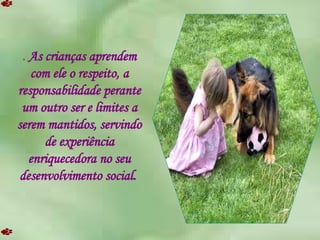 .  As crianças aprendem com ele o respeito, a responsabilidade perante um outro ser e limites a serem mantidos, servindo de experiência enriquecedora no seu desenvolvimento social.  