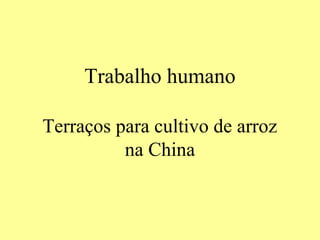 Trabalho humano
Terraços para cultivo de arroz
na China
 