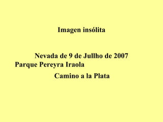 Imagen insólita
Nevada de 9 de Jullho de 2007
Parque Pereyra Iraola
Camino a la Plata
 