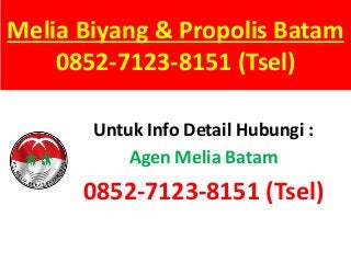 Melia Biyang & Propolis Batam
0852-7123-8151 (Tsel)
Untuk Info Detail Hubungi :
Agen Melia Batam
0852-7123-8151 (Tsel)
 