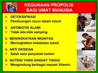 KEGUNAAN PROPOLIS
           BAGI UMAT MANUSIA
1. DETOKSIFIKASI
 Pembuangan racun dalam tubuh

5. ANTIBIOTIK ALAMI
 Tidak ada efek samping

3. MENINGKATKAN IMUNITAS
 Meningkatkan kekebalan tubuh

4. ANTI OKSIDAN
 Salah satu penyebab kanker

5. NUTRISI YANG SANGAT TINGGI
 Mengandung berbagai macam Vitamin
 