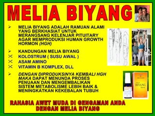    MELIA BIYANG ADALAH RAMUAN ALAMI
    YANG BERKHASIAT UNTUK
    MERANGSANG KELENJAR PITUITARY
    AGAR MEMPRODUKSI HUMAN GROWTH
    HORMON (HGH)
   KANDUNGAN MELIA BIYANG
   KOLOSTRUM ( SUSU AWAL )
   ASAM AMINO
   VITAMIN B KOMPLEX, DLL
   DENGAN DIPRODUKSINYA KEMBALI HGH
    MAKA DAPAT MENUNDA PROSES
    PENUAAN DAN MENGEMBALIKAN
    SISTEM METABOLISME LEBIH BAIK &
    MENINGKATKAN KEKEBALAN TUBUH
 