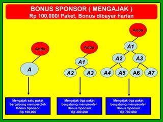 BONUS SPONSOR ( MENGAJAK )
          Rp 100,000/ Paket, Bonus dibayar harian

                                                             Anda



              Anda                  Anda                 A1

                                                    A2        A3
                                A1
         A
                          A2         A3        A4   A5       A6         A7



 Mengajak satu paket     Mengajak tiga paket      Mengajak tiga paket
bergabung memperoleh   bergabung memperoleh     bergabung memperoleh
    Bonus Sponsor          Bonus Sponsor            Bonus Sponsor
      Rp 100,000             Rp 300,000               Rp 700,000
 