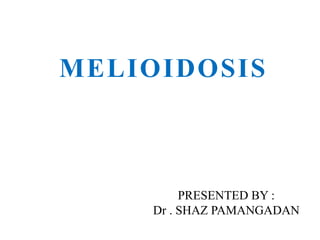 MELIOIDOSIS
PRESENTED BY :
Dr . SHAZ PAMANGADAN
 