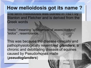 How melioidosis got its name ? 
The term melioidosis was coined in 1921 by 
Stanton and Fletcher and is derived from the 
Greek words 
“melis ” meaning “a distemper of asses(donkey)” 
“eidos” , resemblance. 
This was because the disease clinically and 
pathophysiologically resembled glanders, a 
chronic and debilitating disease of equines 
caused by Pseudomonas malle 
(pseudoglanders) 
 