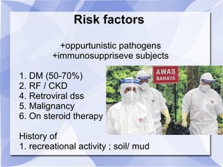 Risk factors 
+oppurtunistic pathogens 
+immunosuppriseve subjects 
1. DM (50-70%) 
2. RF / CKD 
4. Retroviral dss 
5. Malignancy 
6. On steroid therapy 
History of 
1. recreational activity ; soil/ mud 
 