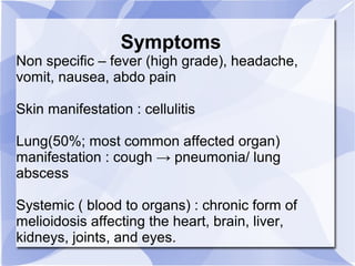 Symptoms 
Non specific – fever (high grade), headache, 
vomit, nausea, abdo pain 
Skin manifestation : cellulitis 
Lung(50%; most common affected organ) 
manifestation : cough → pneumonia/ lung 
abscess 
Systemic ( blood to organs) : chronic form of 
melioidosis affecting the heart, brain, liver, 
kidneys, joints, and eyes. 
 