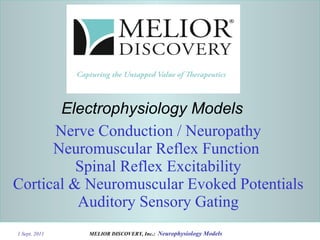 Nerve Conduction / Neuropathy Neuromuscular Reflex Function  Spinal Reflex Excitability Cortical & Neuromuscular Evoked Potentials Auditory Sensory Gating Electrophysiology Models 