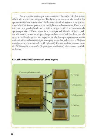 22
PROJETO FRONTEIRA
	 Por exemplo, assim que uma colônia é formada, não há neces-
sidade de acrescentar melgueira. Também se o interesse do criador for
apenas multiplicar as colmeias, não há necessidade de colocar a melgueira,
o que diminuirá o tempo entre as multiplicaçoes das colmeias. Caso o seu
interesse seja produção de mel, então a melgueira deve ser acrescentada
apenas quando a colônia estiver forte e em época de florada. A lixeira pode
ser adicionada ou removida para limpeza das caixas. Vale lembrar que ela
deve ser utilizada apenas em espécies de abelhas que apresentem muita
umidade dentro da colônia (por exemplo, uruçu boca-de-renda – Melipona
seminigra; uruçu boca-de-ralo – M. rufiventris). Outras abelhas, como a jupa-
rá - M. interrupta) e a canudo (Scaptotrigona xanthotricha) não tem necessidade
de lixeira.
COLMÉIA-PADRÃO (vertical com alças)
1. Lixeira
Colmeia-padrão montada
2. Ninho
3. Sobreninho
4. Melgueira
5. Tampa
 