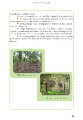 25
MELIPONICULTURA NA AMAZÔNIA
25
prejudiciais a saúde humana;
	 ► Não exposto, diretamente, ao Sol e protegido de ventos fortes;
	 ► As caixas não devem ser instaladas embaixo de árvores com
frutos grandes, tais como: jaqueira, castanheira, etc;
	 ► Ter água limpa e disponível para as abelhas numa distância má-
xima de 200 metros;
	 ► Longe de plantações (mais de 3.000 metros) onde se usa agro-
tóxicos para evitar que as abelhas utilizem as flores das culturas pulveriza-
das ou mesmo que o vento leve os agrotóxicos para dentro das colmeias;
	 ► Ter abundância de plantas que floresçam e que sejam visitadas
pelas abelhas para coleta de pólen e néctar (pasto meliponícola) ao longo
do ano.
Meliponário em terra firme
Meliponário em área de várzea
 