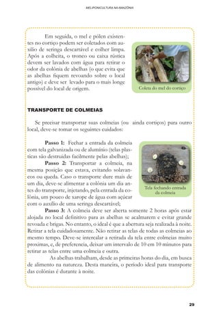 29
MELIPONICULTURA NA AMAZÔNIA
	 Em seguida, o mel e pólen existen-
tes no cortiço podem ser coletados com au-
xilio de seringa descartável e colher limpa.
Após a colheita, o tronco ou caixa rústica
devem ser lavados com água para retirar o
odor da colônia de abelhas (o que evita que
as abelhas fiquem revoando sobre o local
antigo) e deve ser levado para o mais longe
possível do local de origem. Coleta do mel do cortiço
TRANSPORTE DE COLMEIAS
Se precisar transportar suas colmeias (ou ainda cortiços) para outro
local, deve-se tomar os seguintes cuidados:
	 Passo 1: Fechar a entrada da colmeia
com tela galvanizada ou de alumínio (telas plas-
ticas são destruidas facilmente pelas abelhas);
	 Passo 2: Transportar a colmeia, na
mesma posição que estava, evitando solavan-
cos ou queda. Caso o transporte dure mais de
um dia, deve-se alimentar a colônia um dia an-
tes do transporte, injetando, pela entrada da co-
lônia, um pouco de xarope de água com açúcar
com o auxílio de uma seringa descartável;
	 Passo 3: A colmeia deve ser aberta somente 2 horas após estar
alojada no local definitivo para as abelhas se acalmarem e evitar grande
revoada e brigas. No entanto, o ideal é que a abertura seja realizada à noite.
Retirar a tela cuidadosamente. Não retirar as telas de todas as colmeias ao
mesmo tempo. Deve-se intercalar a retirada da tela entre colmeias muito
proximas, e, de preferencia, deixar um intervalo de 10 em 10 minutos para
retirar as telas entre uma colmeia e outra.
	 As abelhas trabalham, desde as primeiras horas do dia, em busca
de alimento na natureza. Desta maneira, o período ideal para transporte
das colônias é durante à noite.
	
Tela fechando entrada
da colmeia
 