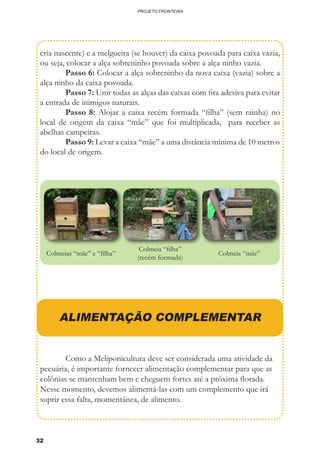 32
PROJETO FRONTEIRA
cria nascente) e a melgueira (se houver) da caixa povoada para caixa vazia,
ou seja, colocar a alça sobreninho povoada sobre a alça ninho vazia.
	 Passo 6: Colocar a alça sobreninho da nova caixa (vazia) sobre a
alça ninho da caixa povoada.
	 Passo 7: Unir todas as alças das caixas com fita adesiva para evitar
a entrada de inimigos naturais.
	 Passo 8: Alojar a caixa recém formada “filha” (sem rainha) no
local de origem da caixa “mãe” que foi multiplicada, para receber as
abelhas campeiras.
	 Passo 9: Levar a caixa “mãe” a uma distância mínima de 10 metros
do local de origem.
Colmeias “mãe” e “filha”
Colmeia “filha”
(recém formada)
Colmeia “mãe”
ALIMENTAÇÃO COMPLEMENTAR
	 Como a Meliponicultura deve ser considerada uma atividade da
pecuária, é importante fornecer alimentação complementar para que as
colônias se mantenham bem e cheguem fortes até a próxima florada.
Nesse momento, devemos alimentá-las com um complemento que irá
suprir essa falta, momentânea, de alimento.
 