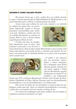 39
MELIPONICULTURA NA AMAZÔNIA
QUANDO E COMO COLHER PÓLEN?
	 Da mesma forma que o mel, o pólen deve ser colhido durante
ou após a florada dependendo da disponibilidade do Meliponicultor e do
custo/beneficio para a colheita e armazenamento do pólen.
	 Assim como para colheita do mel, todo material a ser utilizado
na colheita do pólen deve ser previa-
mente higienizado (seguir as mesmas
instruções recomendadas para colhei-
ta de mel). Também, o pólen não deve
ser colhido diretamente na colmeia em
campo. Pode-se usar a mesma cabana
sugerida para colheita de mel.
	 O pólen não deve ser manipu-
lado diretamente com as mãos. Aqui
tambem é necessario o uso de luvas e
touca descartaveis, além de jaleco limpo. Recomenda-se que os potes com
pólen sejam abertos com auxilio de faca, e coletado com espatula. No en-
tanto, esta coleta pode ser facilitada abrindo-se os potes com as proprias
mãos usando luvas.
	 O pólen é um alimento
rico em proteinas, amino-
ácidos e outros nutrientes.
Ele é designado como Pólen
Apicola quando coletado em
sua forma original e Pólen
Apicola Desidratado quando
desidratado até atingir 4% de
umidade e em temperatura
menor que 42ºC, conforme Regulamento Técnico para Fixação de Iden-
tidade e Qualidade de Pólen Apícola. Portanto, para sua desumidificação
recomendamos o uso do desumidificador e ar condicionado.
	 Para envase do pólen são recomendados os mesmos tipos de em-
balagens usadas para mel. Após ser coletado, desumidificado e envasado,
o pólen deve ser mantido em local arejado ao abrigo da luz.
	 Os rotulos das embalagens para polen também devem atender as
exigências normativas brasileiras em vigor.
Indumentária para
colheita de pólen
Colheita de pólen
Melgueira com
potes de pólen
 