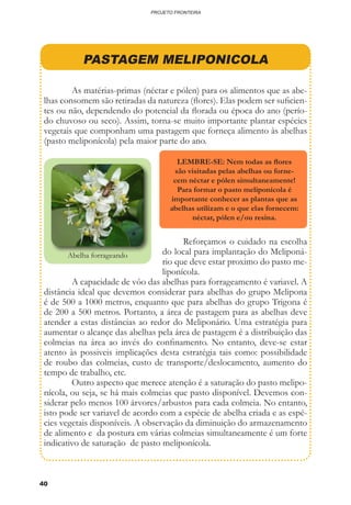 40
PROJETO FRONTEIRA
PASTAGEM MELIPONICOLA
	 As matérias-primas (néctar e pólen) para os alimentos que as abe-
lhas consomem são retiradas da natureza (flores). Elas podem ser suficien-
tes ou não, dependendo do potencial da florada ou época do ano (perío-
do chuvoso ou seco). Assim, torna-se muito importante plantar espécies
vegetais que componham uma pastagem que forneça alimento às abelhas
(pasto meliponícola) pela maior parte do ano.
	 Reforçamos o cuidado na escolha
do local para implantação do Meliponá-
rio que deve estar proximo do pasto me-
liponícola.
	 A capacidade de vôo das abelhas para forrageamento é variavel. A
distância ideal que devemos considerar para abelhas do grupo Melipona
é de 500 a 1000 metros, enquanto que para abelhas do grupo Trigona é
de 200 a 500 metros. Portanto, a área de pastagem para as abelhas deve
atender a estas distâncias ao redor do Meliponário. Uma estratégia para
aumentar o alcançe das abelhas pela área de pastagem é a distribuição das
colmeias na área ao invés do confinamento. No entanto, deve-se estar
atento às possiveis implicações desta estratégia tais como: possibilidade
de roubo das colmeias, custo de transporte/deslocamento, aumento do
tempo de trabalho, etc.
	 Outro aspecto que merece atenção é a saturação do pasto melipo-
nícola, ou seja, se há mais colmeias que pasto disponível. Devemos con-
siderar pelo menos 100 árvores/arbustos para cada colmeia. No entanto,
isto pode ser variavel de acordo com a espécie de abelha criada e as espé-
cies vegetais disponíveis. A observação da diminuição do armazenamento
de alimento e da postura em várias colmeias simultaneamente é um forte
indicativo de saturação de pasto meliponícola.
LEMBRE-SE: Nem todas as flores
são visitadas pelas abelhas ou forne-
cem néctar e pólen simultaneamente!
Para formar o pasto meliponícola é
importante conhecer as plantas que as
abelhas utilizam e o que elas fornecem:
néctar, pólen e/ou resina.
Abelha forrageando
 