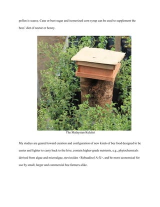 pollen is scarce. Cane or beet sugar and isomerized corn syrup can be used to supplement the
bees’ diet of nectar or honey.
The Malaysian Kelulut
My studies are geared toward creation and configuration of new kinds of bee food designed to be
easier and lighter to carry back to the hive, contain higher-grade nutrients, e.g., phytochemicals
derived from algae and microalgae, steviocides <Rebuadisol A-X>, and be more economical for
use by small, larger and commercial bee farmers alike.
 
