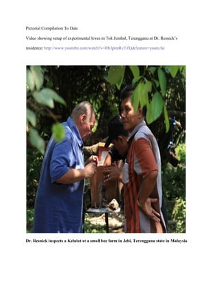 Pictorial Compilation To Date
Video showing setup of experimental hives in Tok Jembal, Terengganu at Dr. Resnick’s
residence: http://www.youtube.com/watch?v=Rb3pmtRcTZQ&feature=youtu.be
Dr. Resnick inspects a Kelulut at a small bee farm in Jebi, Terengganu state in Malaysia
 