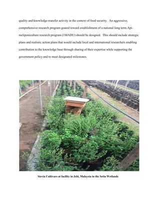 quality and knowledge-transfer activity in the context of food security. An aggressive,
comprehensive research program geared toward establishment of a national long term Api-
meliponiculture research program (1MADU) should be designed. This should include strategic
plans and realistic action plans that would include local and international researchers enabling
contribution to the knowledge base through sharing of their expertise while supporting the
government policy and to meet designated milestones.
Stevia Cultivars at facility in Jebi, Malaysia in the Setiu Wetlands
 