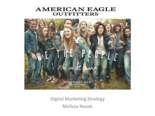 Digital Marketing Strategy 
Melissa Novak 
 