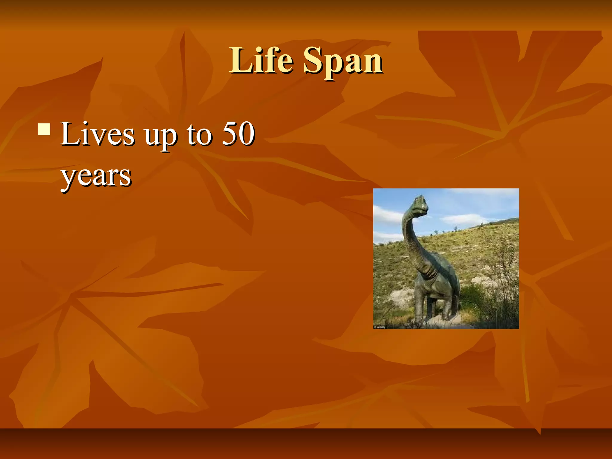 Life Span
Lives up to 50
years