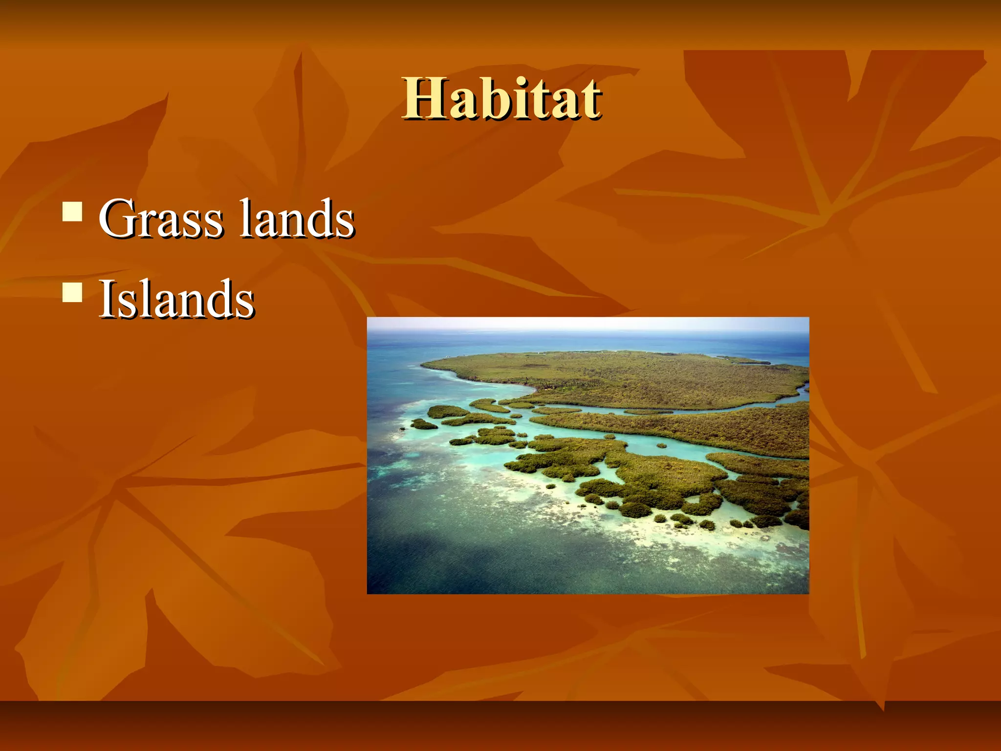 Habitat
Grass lands
Islands