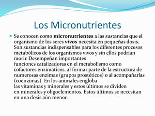 macronutrientes y micronutrientes 