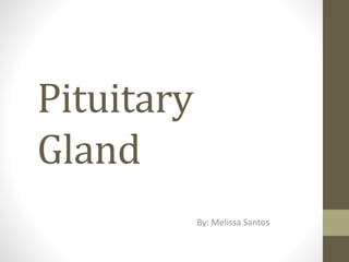 Pituitary
Gland
By: Melissa Santos
 
