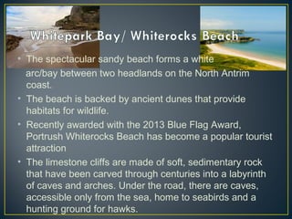 • The spectacular sandy beach forms a white
arc/bay between two headlands on the North Antrim
coast.
• The beach is backed by ancient dunes that provide
habitats for wildlife.
• Recently awarded with the 2013 Blue Flag Award,
Portrush Whiterocks Beach has become a popular tourist
attraction
• The limestone cliffs are made of soft, sedimentary rock
that have been carved through centuries into a labyrinth
of caves and arches. Under the road, there are caves,
accessible only from the sea, home to seabirds and a
hunting ground for hawks.
 