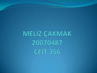 MELİZ ÇAKMAK 20070487CEİT 356 