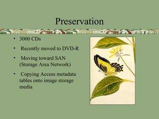 Preservation
• 3000 CDs
•   Recently moved to DVD-R
•    Moving toward SAN
    (Storage Area Network)
•    Copying Access ...