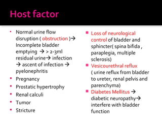 • Normal urine flow
disruption ( obstruction )
Incomplete bladder
emptying  > 2-3ml
residual urine infection
 ascent of infection 
pyelonephritis
 Pregnancy
 Prostatic hypertrophy
 Renal calculi
 Tumor
 Stricture
 Loss of neurological
control of bladder and
sphincter( spina bifida ,
paraplegia, multiple
sclerosis)
 Vesicourethral reflux
( urine reflux from bladder
to ureter, renal pelvis and
parenchyma)
 Diabetes Mellitus 
diabetic neuropathy
interfere with bladder
function
 