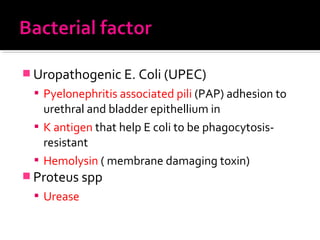  Uropathogenic E. Coli (UPEC)
 Pyelonephritis associated pili (PAP) adhesion to
urethral and bladder epithellium in
 K antigen that help E coli to be phagocytosis-
resistant
 Hemolysin ( membrane damaging toxin)
 Proteus spp
 Urease
 