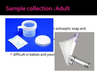  MidStream Urine
 Clean labia/ glans with non-antiseptic soap and
water
 Void first part of urine stream
 Collect midstream sample into sterile wide
mouthed container
 difficult in babies and young children
 