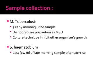  M. Tuberculosis
 3 early morning urine sample
 Do not require precaution as MSU
 Culture technique inhibit other organism’s growth
 S. haematobium
 Last few ml of late morning sample after exercise
 