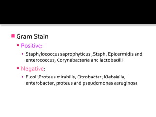  Gram Stain
 Positive:
▪ Staphylococcus saprophyticus ,Staph. Epidermidis and
enterococcus, Corynebacteria and lactobacilli
 Negative:
▪ E.coli,Proteus mirabilis, Citrobacter ,Klebsiella,
enterobacter, proteus and pseudomonas aeruginosa
 