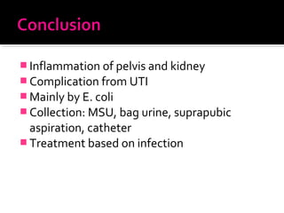  Inflammation of pelvis and kidney
 Complication from UTI
 Mainly by E. coli
 Collection: MSU, bag urine, suprapubic
aspiration, catheter
 Treatment based on infection
 