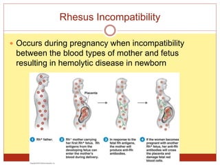Incompability Rhesus Mellss yr5 obg d iseases in pregnancy hematology, immunology,rs, git | PPTX