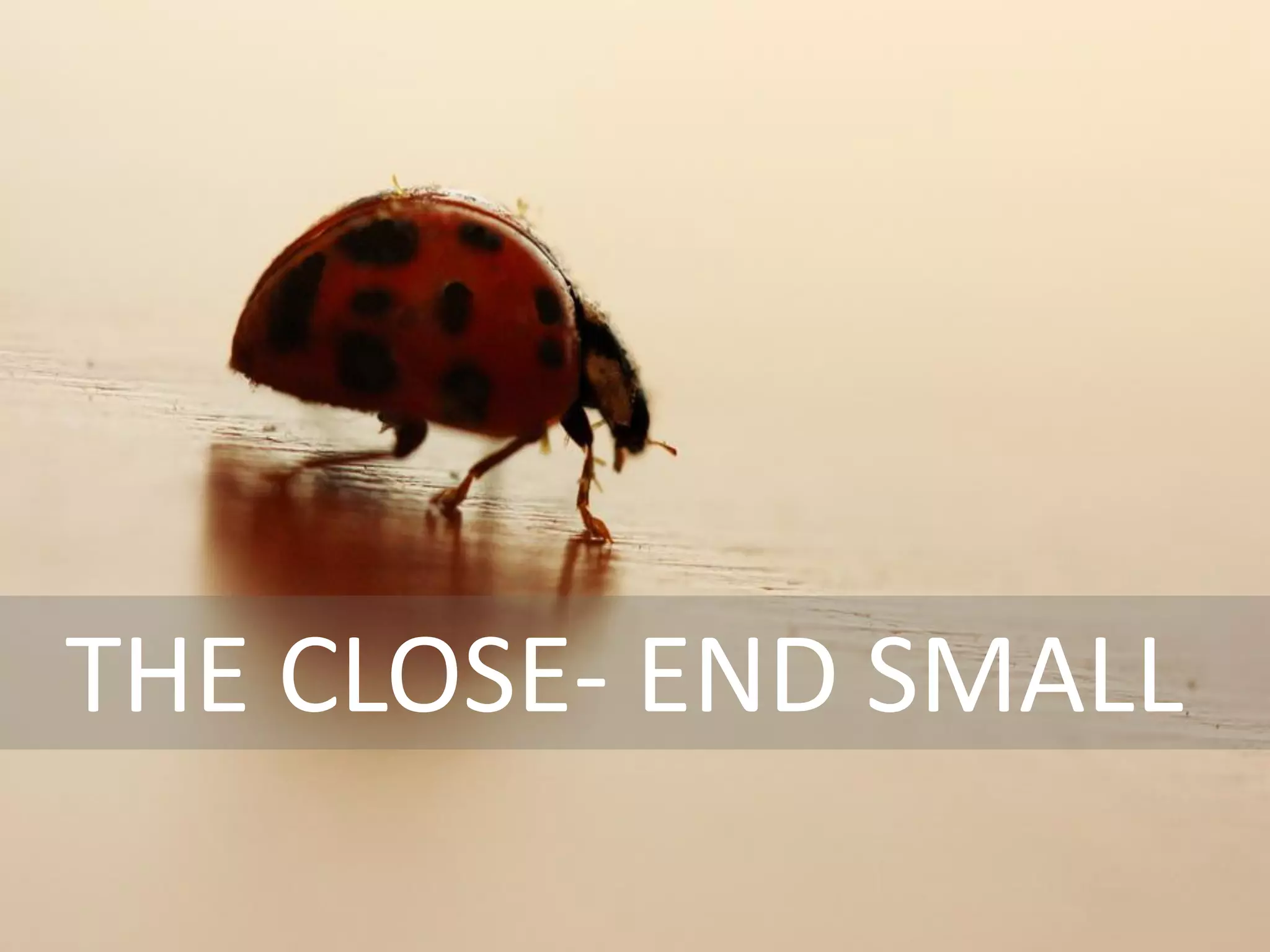 | Media – Sauce | Mellissa Norman




Close




THE CLOSE- END SMALL
                © C O P Y R I G H T   M e d i a   S a u c e
 