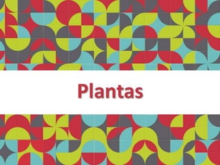 Melodia • Lançamento Imobiliário • Praça Seca