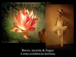 Breve, incerta & fugaz  é esta existência terrena. 