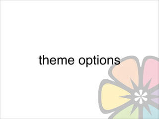theme options
 